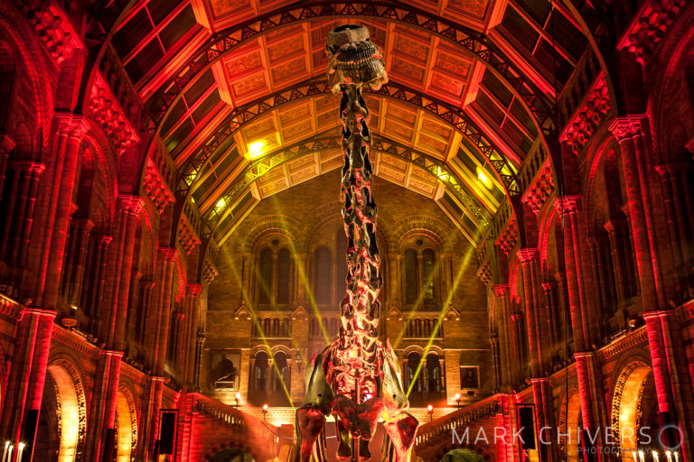photography for Charity ball at the Natural History Museum