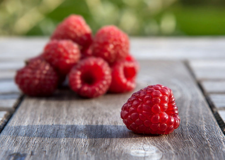 Summer fresh raspberries